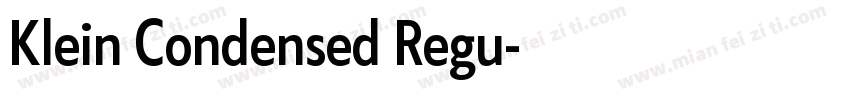 Klein Condensed Regu字体转换